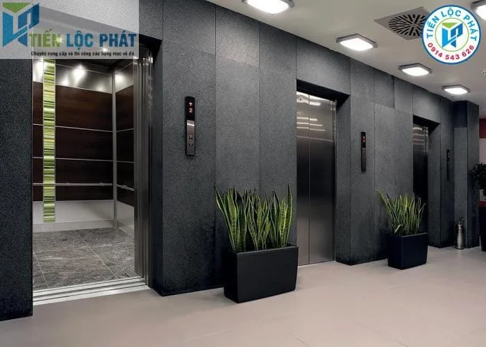 Đá hoa cương thang máy