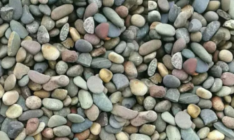 Sỏi, đá cuội