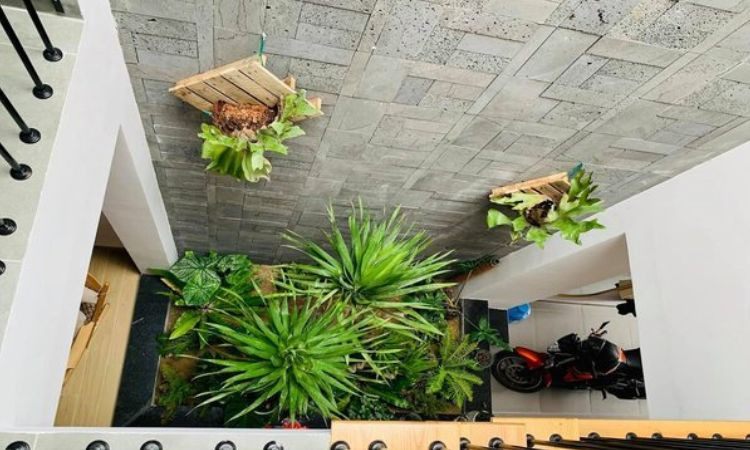 Kinh nghiệm lựa chọn đá ốp giếng trời