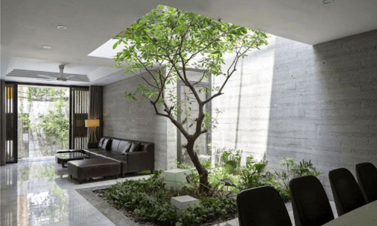 đá ốp giếng trời