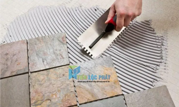 xi măng lát gạch