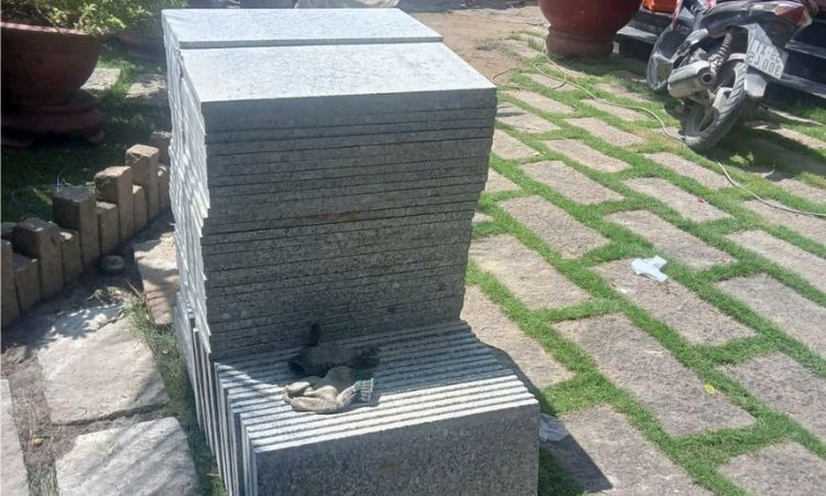 đá sân vườn tự nhiên