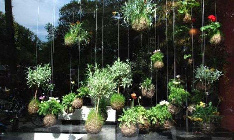 Vườn treo độc đáo