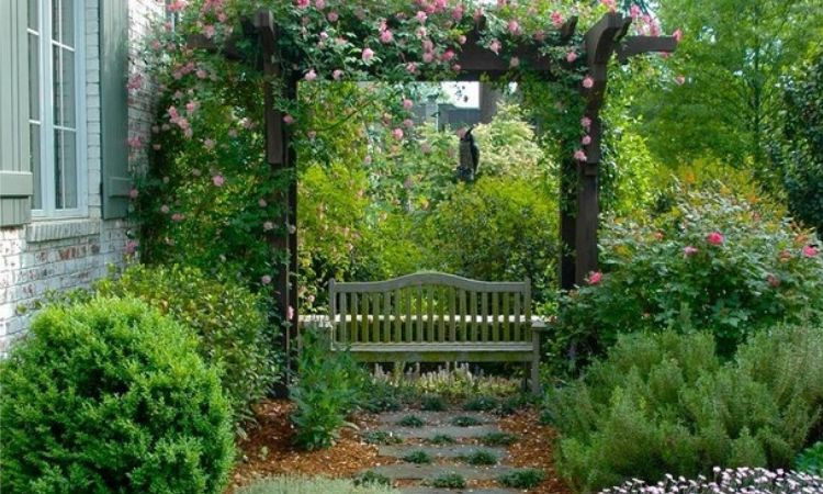 Giàn cây leo duyên dáng