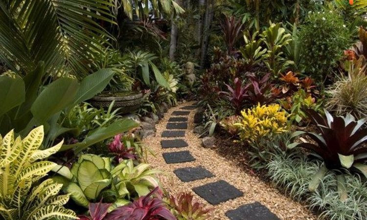 Sân vườn nhiệt đới