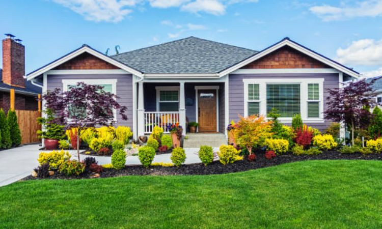 cảnh quan sân vườn