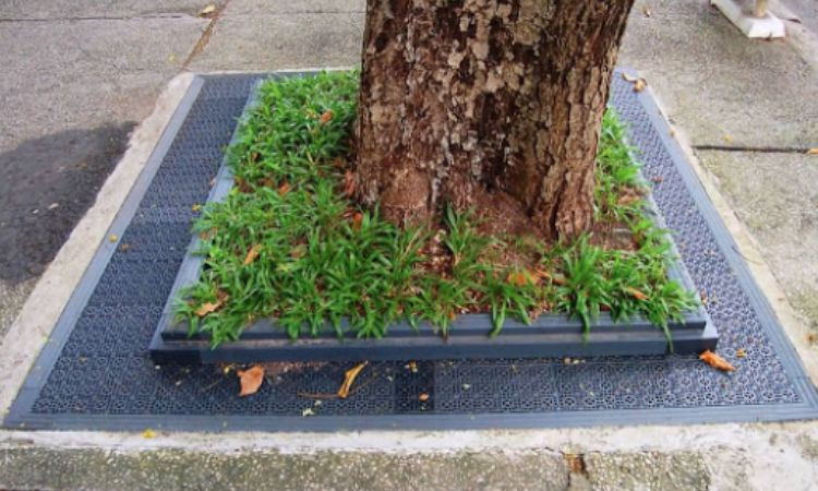 đá bó vỉa bồn cây