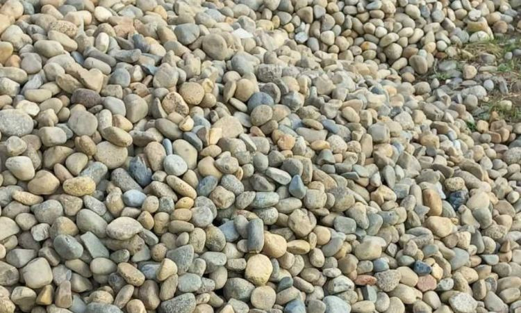 Giá sỏi trang trí sân vườn
