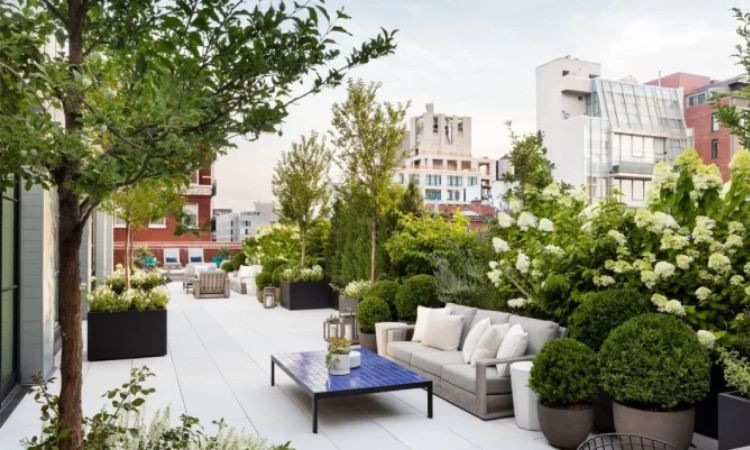 Sân vườn trên sân thượng