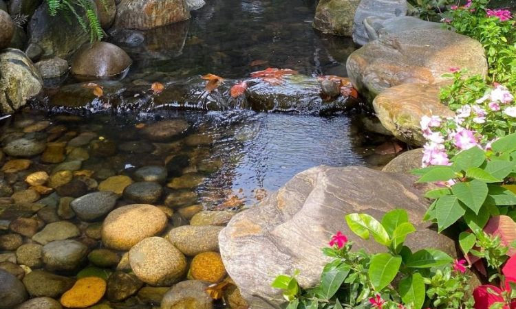 Trang trí thác nước hoặc suối nhân tạo