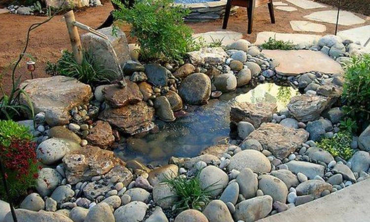 Trang trí bờ hồ hoặc hòn non bộ