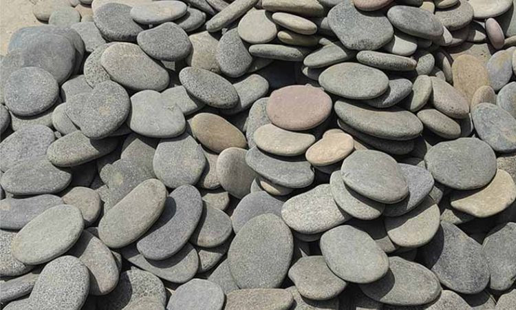 Sỏi cuội tròn và sỏi dẹt