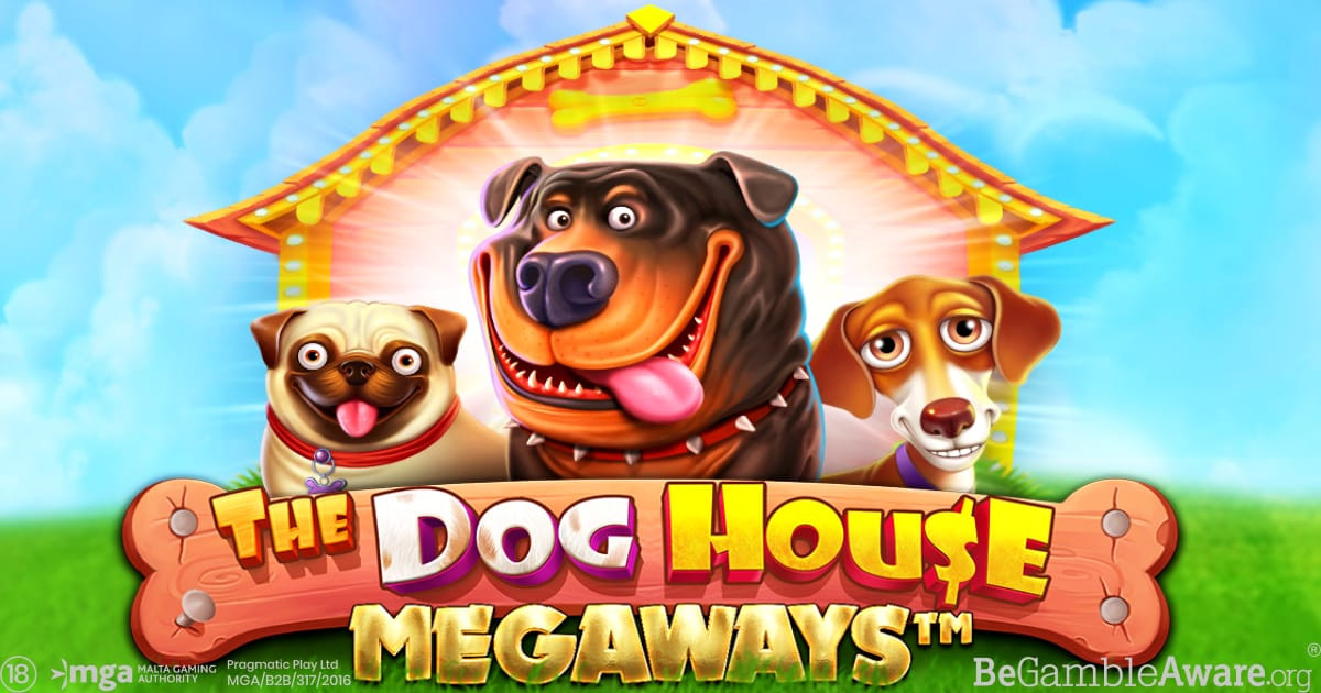 Pragmatic Play Goes Live With a New Slot The Dog House Megaways