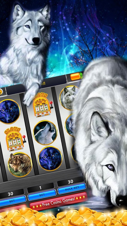 Personal Account in Wolf Winner Casino - How to Register