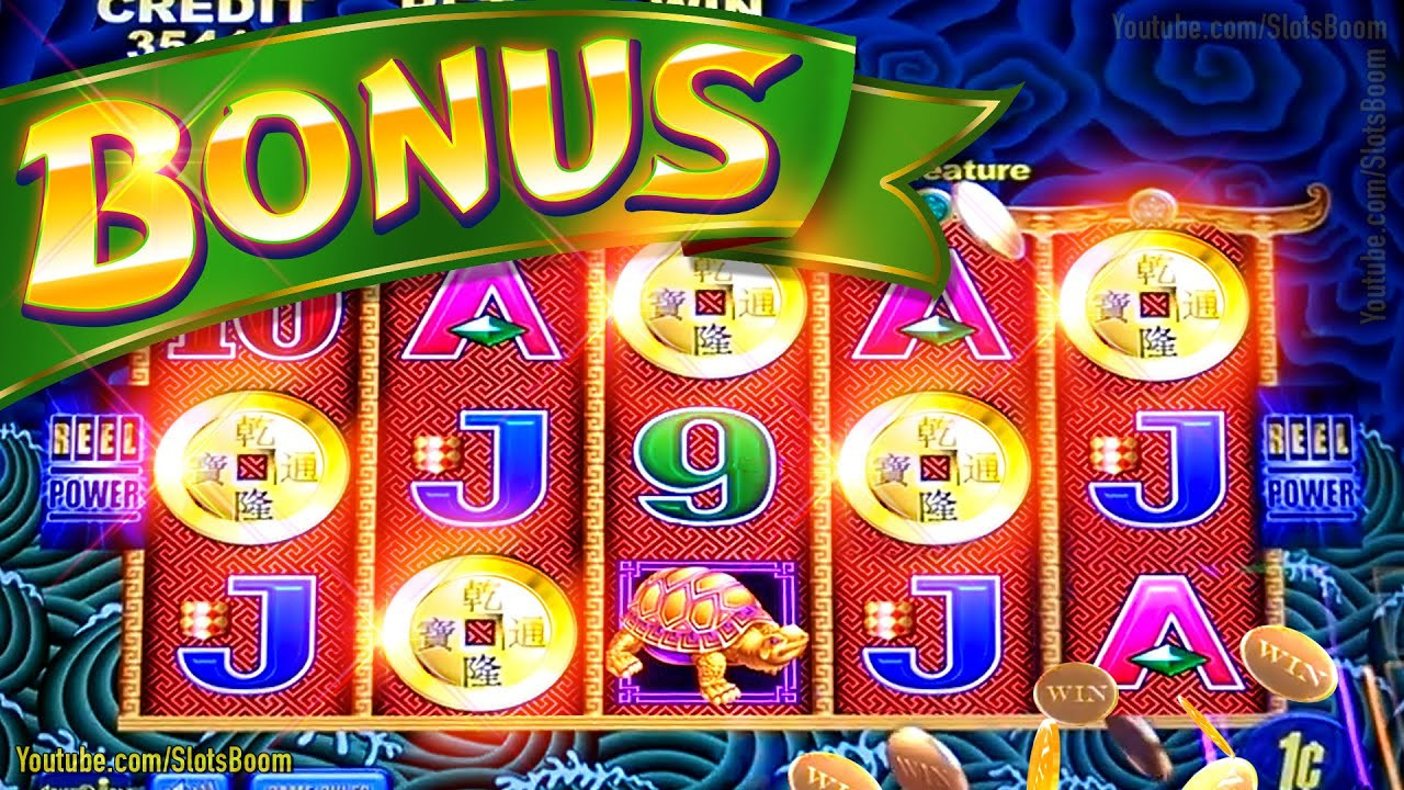 Where Online Gambling Goes Wild | 大阪第一ドッグトレーニングセンター