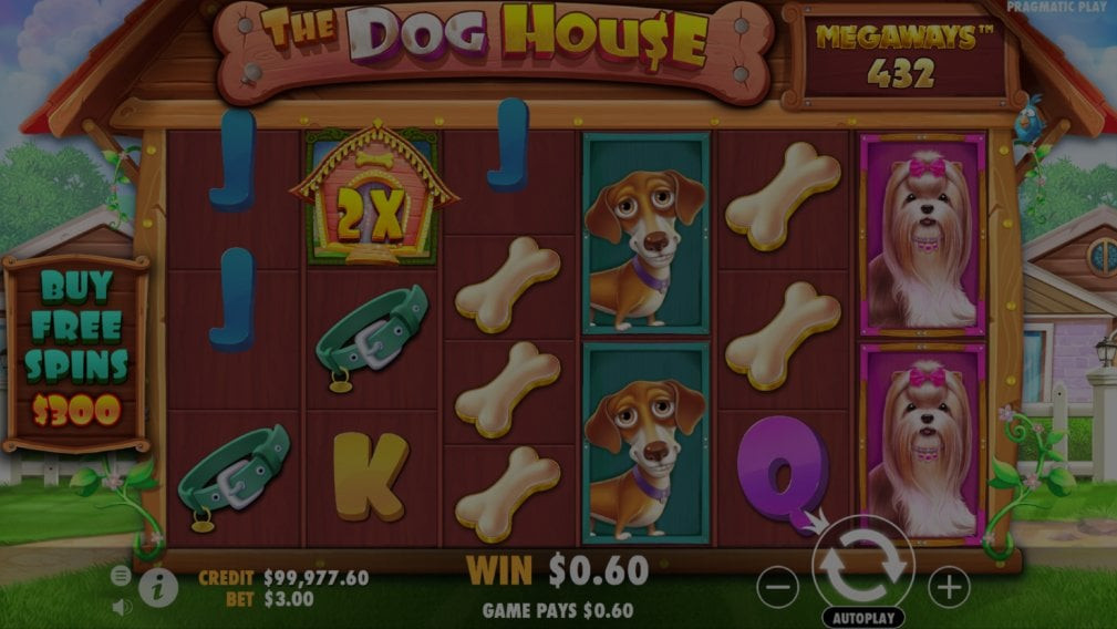 The Dog House Megaways Slot Game | Demo Play & Free Spins