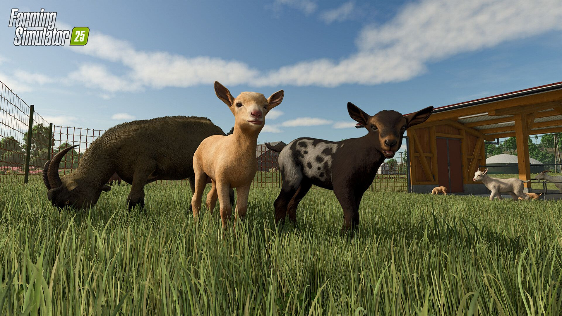 The Best Early Game Crops In Farming Simulator 25