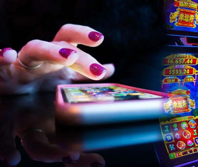 Login Casino El Royale | Login Casino Guide