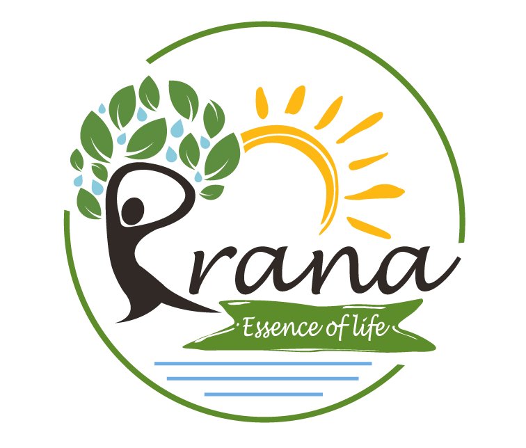 Top Visa Casino Sites - Prana