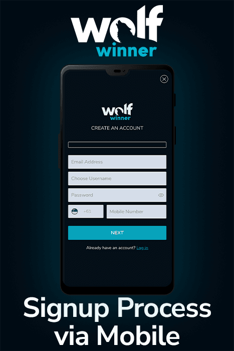 Wolf Winner Login — Secure Casino Account Access
